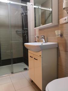 弗兰季谢克矿泉镇埃里卡膳食公寓酒店的一间带水槽和淋浴的浴室