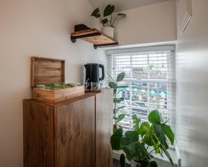 戈尔韦Black Cat的一间有橱柜、植物和窗户的房间