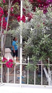 费特希耶斯特拉城市公寓的站在一棵花树旁边的女人
