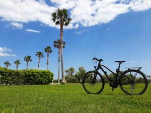 罗切拉伊奥尼卡帕可德普林西皮酒店的停在棕榈树旁边的草地上的自行车