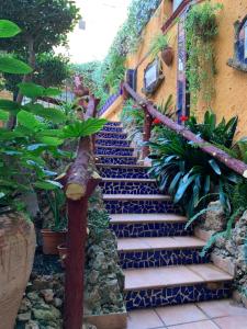 坎布里尔斯El Camí Hotel的花园中种有植物的楼梯