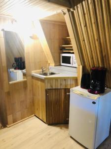Kuijõe若禾之旅乡村民宿的一间带水槽和微波炉的小厨房