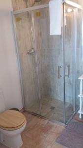 萨格里什普拉维达住宿加早餐旅馆的浴室设有玻璃淋浴间和卫生间