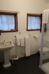 克莱德The Tinkers Cottage的浴室配有盥洗盆、卫生间和毛巾。