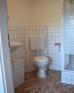 魏森贝格Ferienwohnungen Dornröschen的一间带卫生间和水槽的浴室