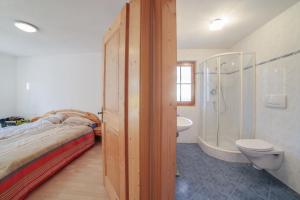 萨尔图西奥Strickerhof - Appartment 3的一间卧室设有一张床、淋浴和卫生间