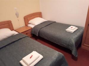 采尔克尼察Hotel Rakov Skocjan的客房内的两张床和毛巾