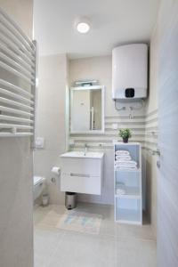 Apartments Djuro Rafailovic的一间浴室