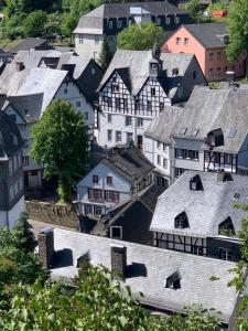 蒙绍Manoir -1654- historisch schlafen in Monschaus Altstadt的享有带房屋和屋顶的城镇的顶部景色