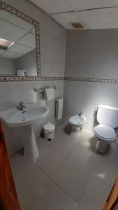 阿兰扎达Hostal Restaurante Pinarejo的一间带水槽、卫生间和镜子的浴室