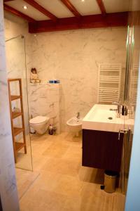 阿尔勒Grand Tamaris Hosting的一间带水槽、卫生间和淋浴的浴室