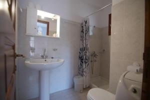 基索斯米尔蒂罗公寓酒店的一间带水槽、卫生间和淋浴的浴室