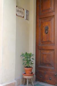 阿西西Alter Ego b&b Assisi的坐在门边凳子上的盆栽植物