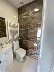 尤尔马拉Jurmala Guest House Markiza的一间带卫生间和水槽的浴室