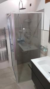 特伦托Lady Tulip - monolocale的一间带玻璃淋浴和水槽的浴室