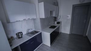 利沃夫Family Hostel Lviv的小厨房配有白色橱柜和水槽