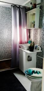 Velika RemetaSunny Side Fruska Gora -touristic estate的客房内设有带水槽和卫生间的浴室