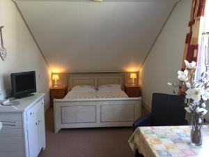 东卡佩勒de Duinroos的一间卧室配有一张床和一张书桌及电视