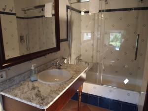 索列尔Turismo de Interior S'Ardeviu的一间带水槽和淋浴的浴室