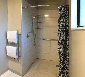 惠灵顿阿德莱德汽车旅馆的带淋浴的浴室和玻璃门