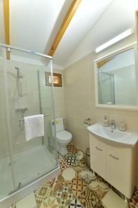 Valea DanuluiLA LIVADA的带淋浴、卫生间和盥洗盆的浴室