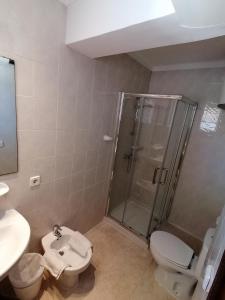 卡拉米洛萨图尔诺酒店的带淋浴、卫生间和盥洗盆的浴室