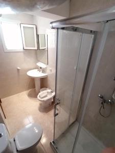 卡拉米洛萨图尔诺酒店的带淋浴、卫生间和盥洗盆的浴室