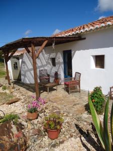 奥德赛克斯Montes de Baixo的白色房子的庭院,带椅子和鲜花