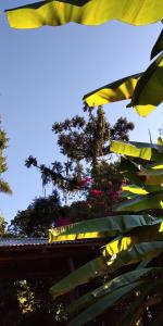 伊瓜苏港杰斯伊酒店的花叶树景