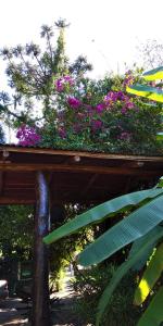 伊瓜苏港杰斯伊酒店的一座建筑顶部种有紫色花的种植园