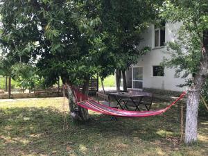 古达乌塔Tyulpan Vacation Home的院子里绑在树上的吊床