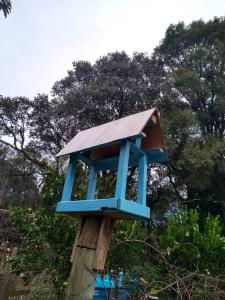 格拉玛多Residencial Saldanha的坐在木柱顶上的蓝色鸟舍