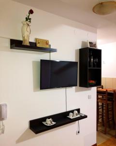 弗尔尼亚奇卡矿泉镇Apartmani Tamara的客厅的墙上配有电视