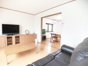 广岛Itsukaichi First Villa Hiroshima的带沙发和平面电视的客厅