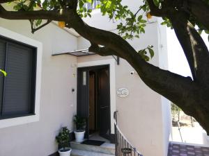 托雷德尔格雷科B&B Guest Armonie的白色房子的前门,有树