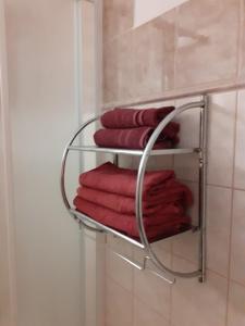 米库洛夫Penzion Fontána的浴室内毛巾架和红色毛巾