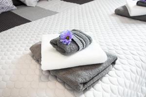 库多瓦-兹德鲁伊Apartamenty Pod Cisem的床上的毛巾,带紫色花