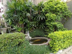 台中市心圆精致汽车旅馆的灌木丛中带厕所的花园