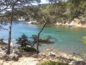 滨海圣西尔Rez-de-villa proche de la mer - Villa Temana的海岸上一片树木的水域