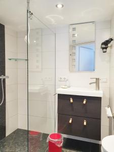 MerenbergFremdenzimmer - Petit Quartier的带淋浴、盥洗盆和镜子的浴室