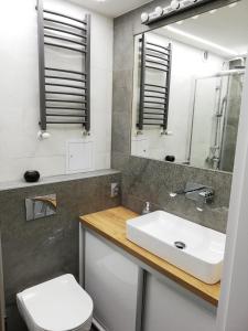 杜什尼基-兹德鲁伊Apartament pod Szóstką的一间带水槽、卫生间和镜子的浴室