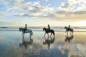 El LimónRancho Santana的三人在海滩上骑马