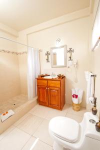 圣乔治新郎海滩别墅度假酒店的浴室配有卫生间、淋浴和盥洗盆。