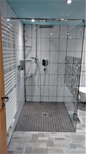 博尔斯特尔朗Ferienwohnung Schaule的浴室里设有玻璃门淋浴