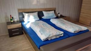 博尔斯特尔朗Ferienwohnung Schaule的一间卧室配有两张带蓝色床单和枕头的床。