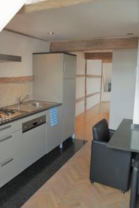 马塞克德玛萨查特公寓的厨房配有水槽和台面