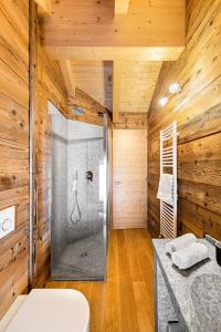 蓬泰迪莱尼奥Chalet Resort Sozzine的带淋浴和卫生间的浴室以及木墙。