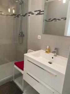 博索莱伊Appartements 5MIN MONTE CARLO的浴室配有白色水槽和淋浴。