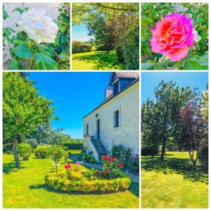 BerthenayLa Grange aux Moines的四张不同的花卉图案和一所房子