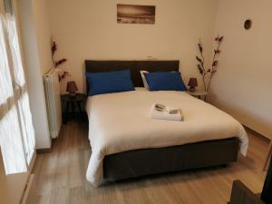 拉奎拉Via Roma的一间卧室配有一张带蓝色枕头的大床